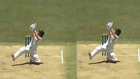 David Warner