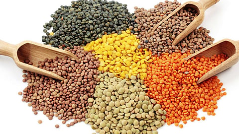 Daal Price Hike