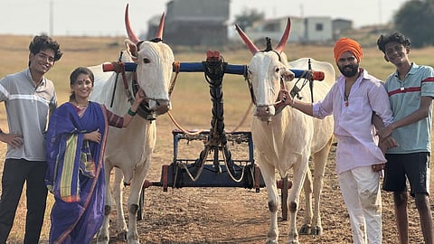 Aala Bailgada Song Released