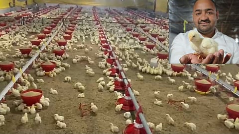 Poultry Farm
