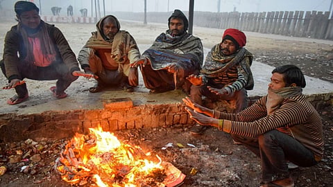 weather Update 12 december cold wave alert for delhi IMD Issues Rainfall For Maharashtra Tamil Nadu kerala sikkim