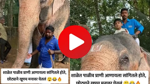 Funny Viral Video