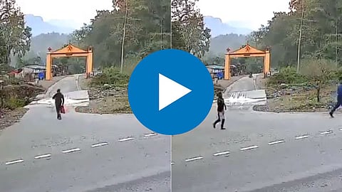 Uttarakhand Tiger Video