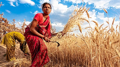 Agriculture