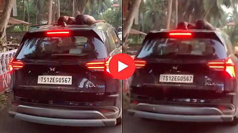 Tourist in Goa drives XUV with kids sleeping on its roof