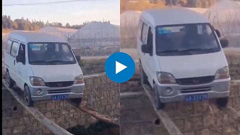 Viral Video