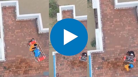 Rescued Viral Video