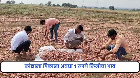 Onion Rate in Maharashtra