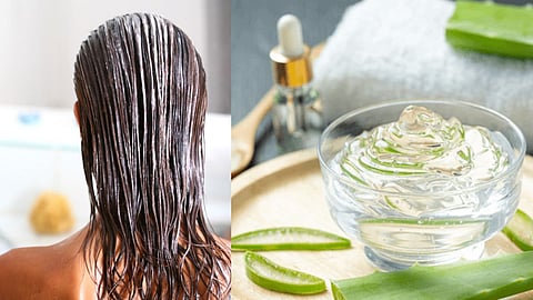 Aloe Vera Side Effects