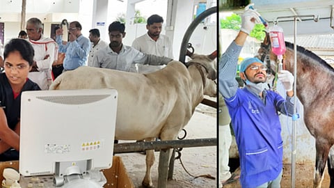 Moving veterinary In Akola