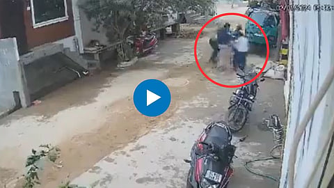 Dog Attack Video