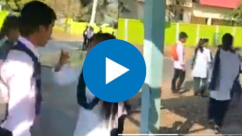 Fight Viral Video
