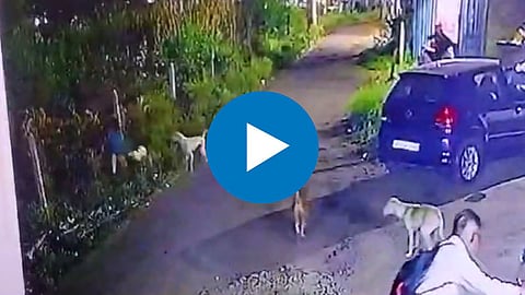 CCTV Video