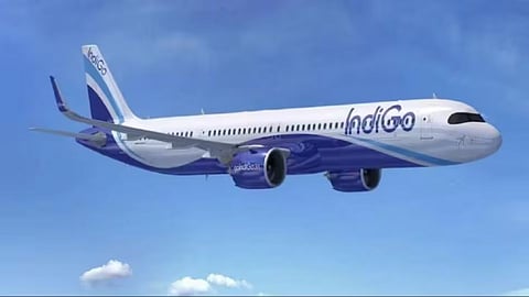 Indigo Flight