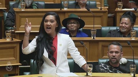 New Zealand Parliament Member