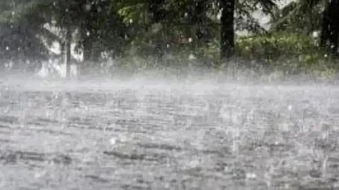 Unseasonal Rain