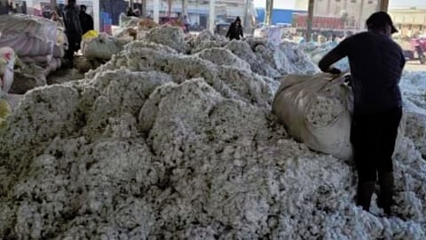 Cotton Price