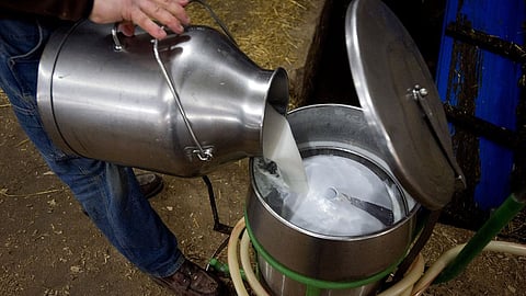 Milk Price