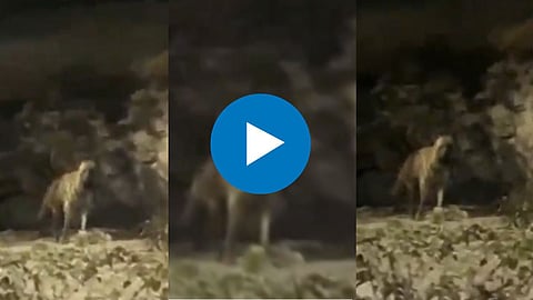 Viral Video