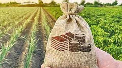 Crop Insurance