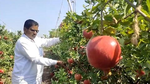 Farmer Success Story