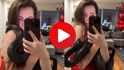 Snake Viral Video
