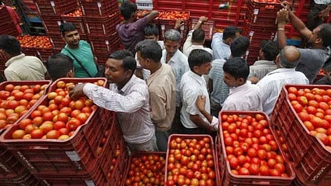 Tomato ketchup Business