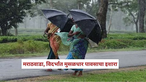 Rain News