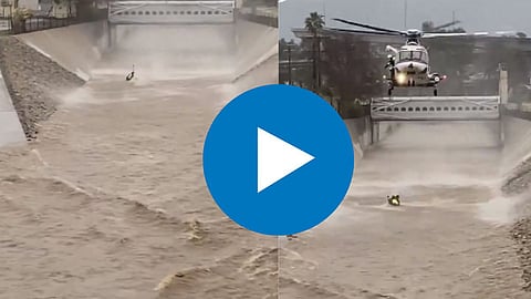 Dog Rescue Video