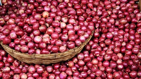Onion Price