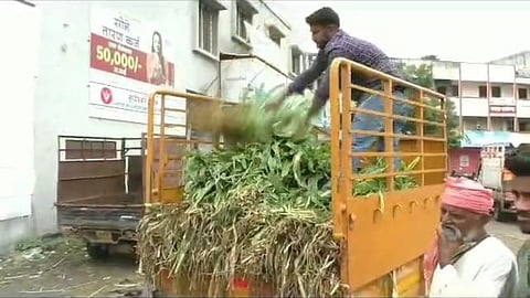 nagar collector orders chara vahtuk bandi to other districts
