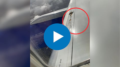Airplane Viral Video