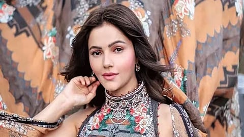 Rubina Dilaik Trolled