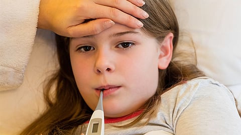 Typhoid Disease