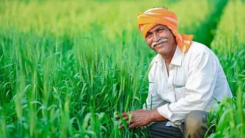 Farmer