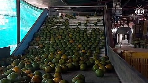 Amaravati Digital Orange Market