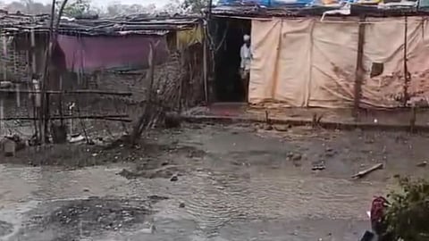 Wardha Rain News