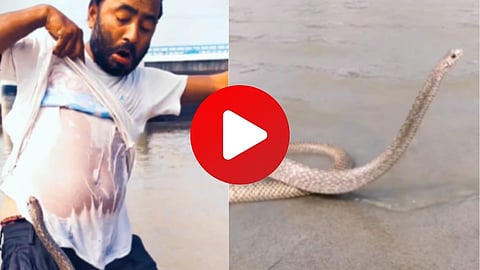 Viral Video