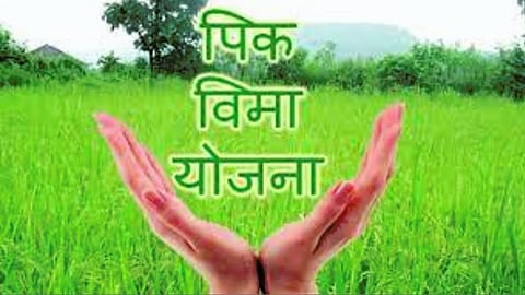 Crop Insurance