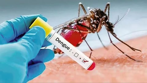 Dengue Patients