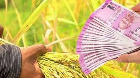 Farmer Crop Loan