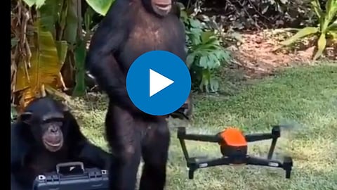 Viral Video