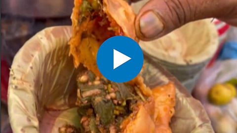 Bhindi Samosa