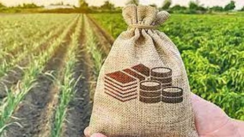Crop Insurance