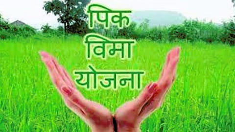Crop Insurance