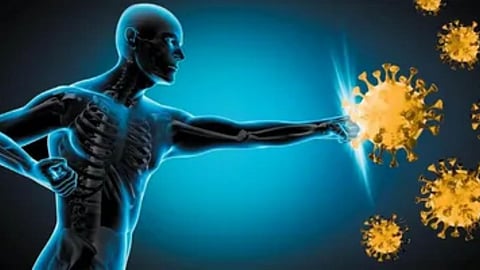 Immunity Boost