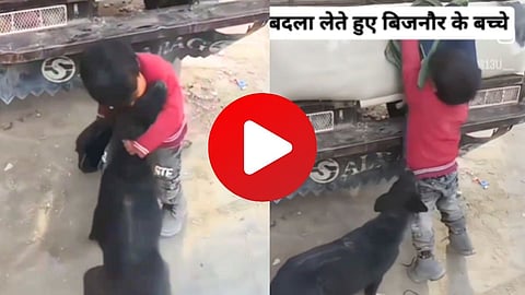 Viral Video