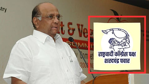 NCP Symbol Crisis: विधानसभेला चिन्हाचा घोळ नकोच! 'पिपाणी' विरोधात शरद पवार गटाची निवडणूक आयोगात धाव; पाहा VIDEO