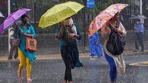 Maharashatra Monsoon