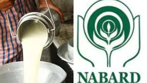 Fact Check : 'डेअरी कर्ज योजने'बाबतची 'ती' माहीती चुकीची; नाबार्डने केलं स्पष्ट